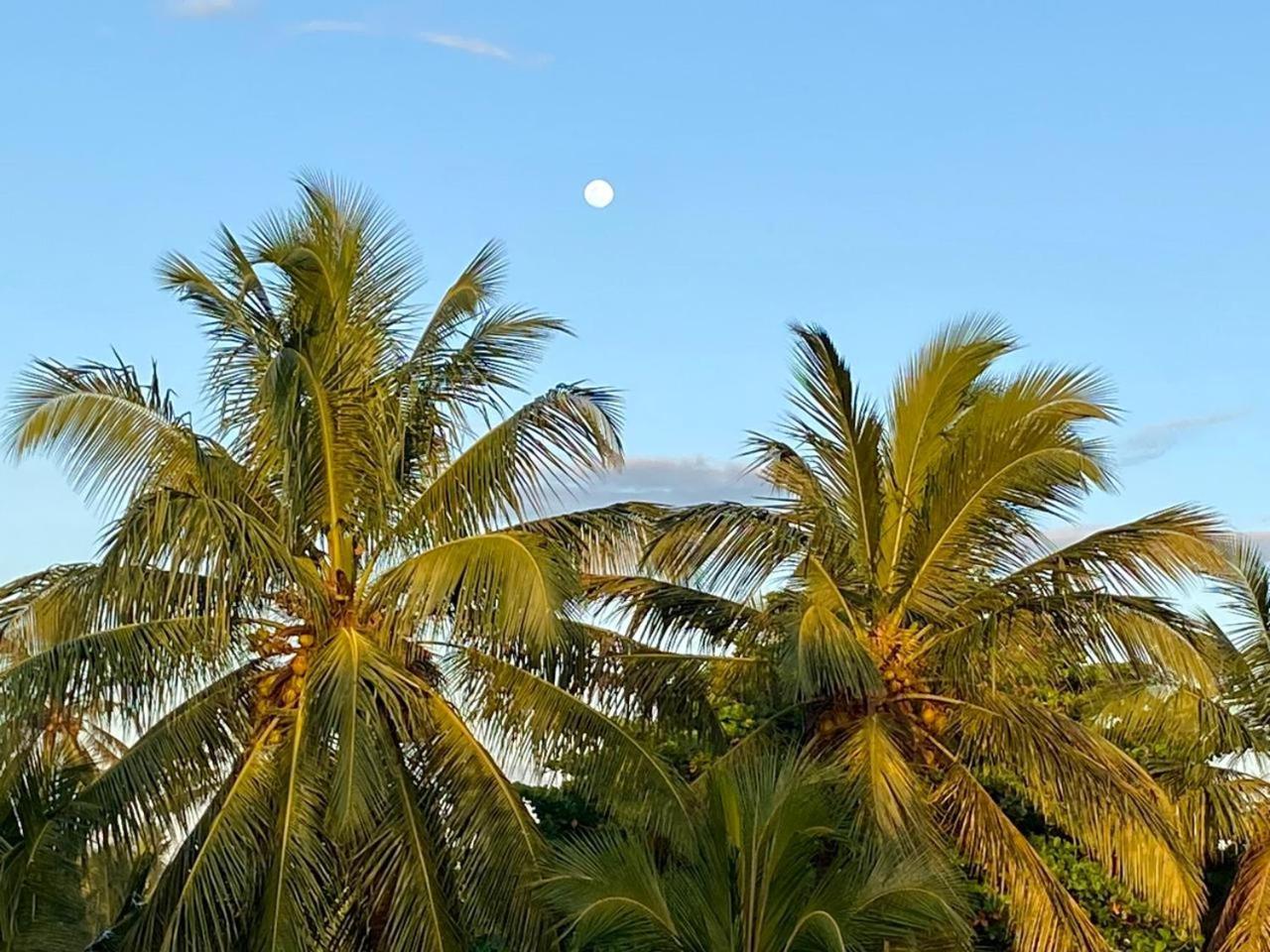 Sasagara Beach Villa タンガラ エクステリア 写真